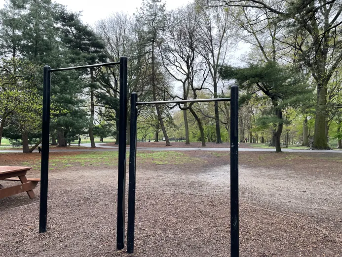 Central Park Pull Up Bars